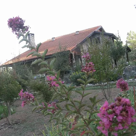 Dikencik Country house *