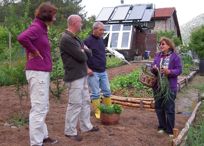 Dikencik * Uzumlu (Aegean)